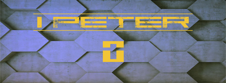 Blue and purple hexagon background that says, "1 Peter" in yellow letters