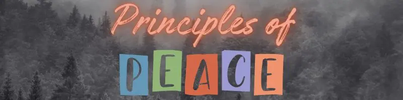 pine forest in shades of gray with words "Principles of PEACE" over it