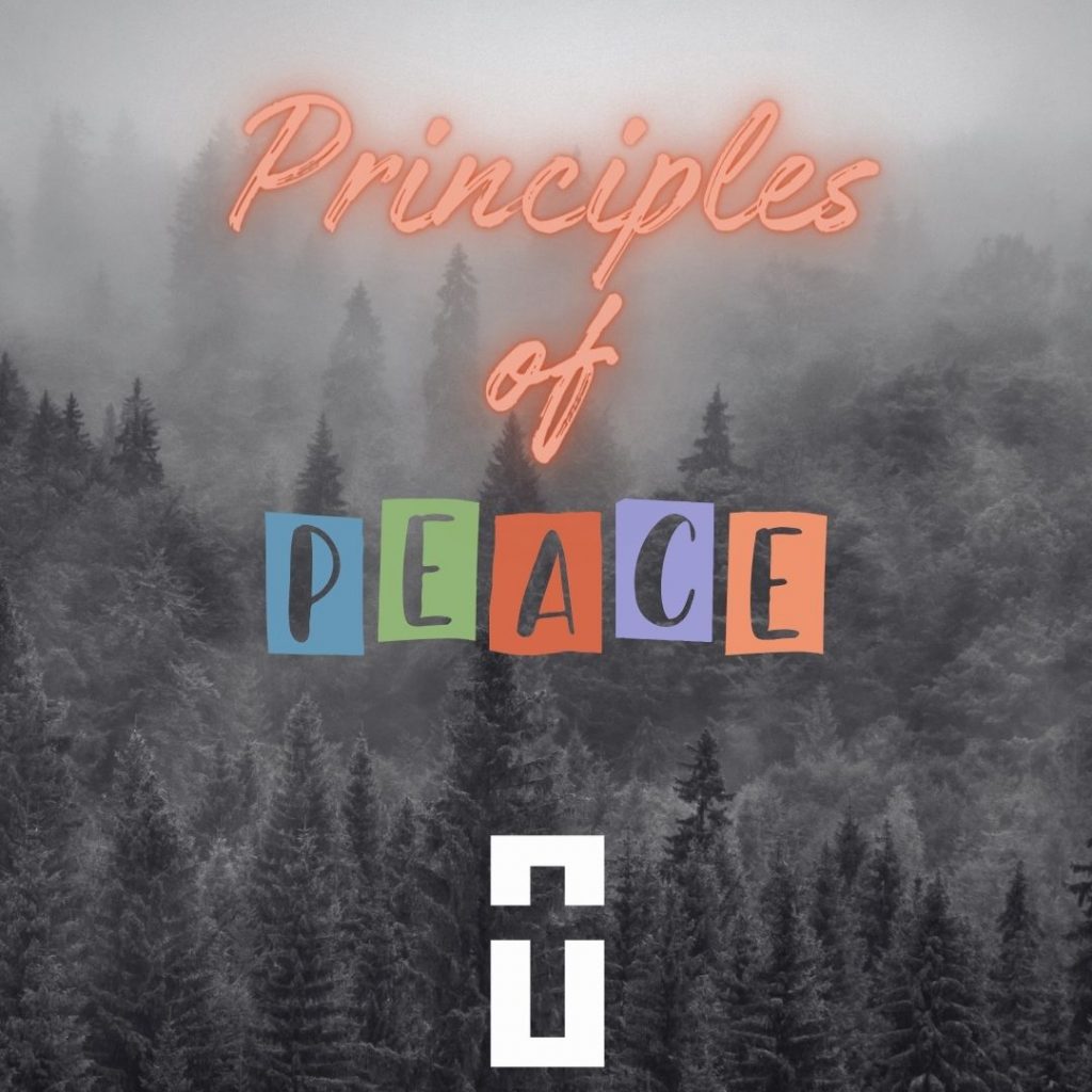 a pine forest in shades of gray with colorful words saying "Principles of Peace" for Emmanuel blog